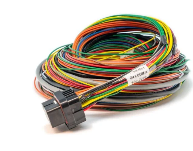 Link ECU Wirein ECU A Loom Medium