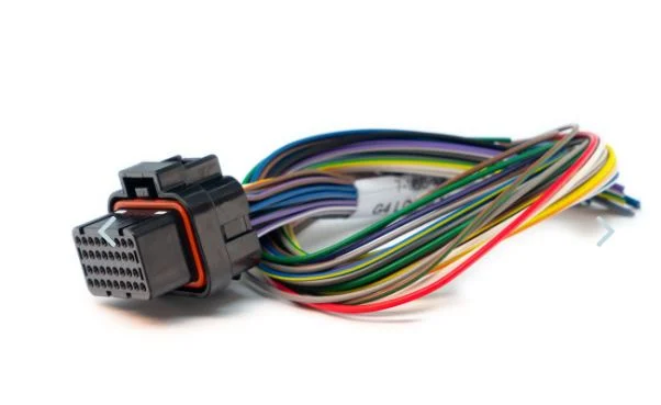 Link ECU Wirein ECU B Loom Short