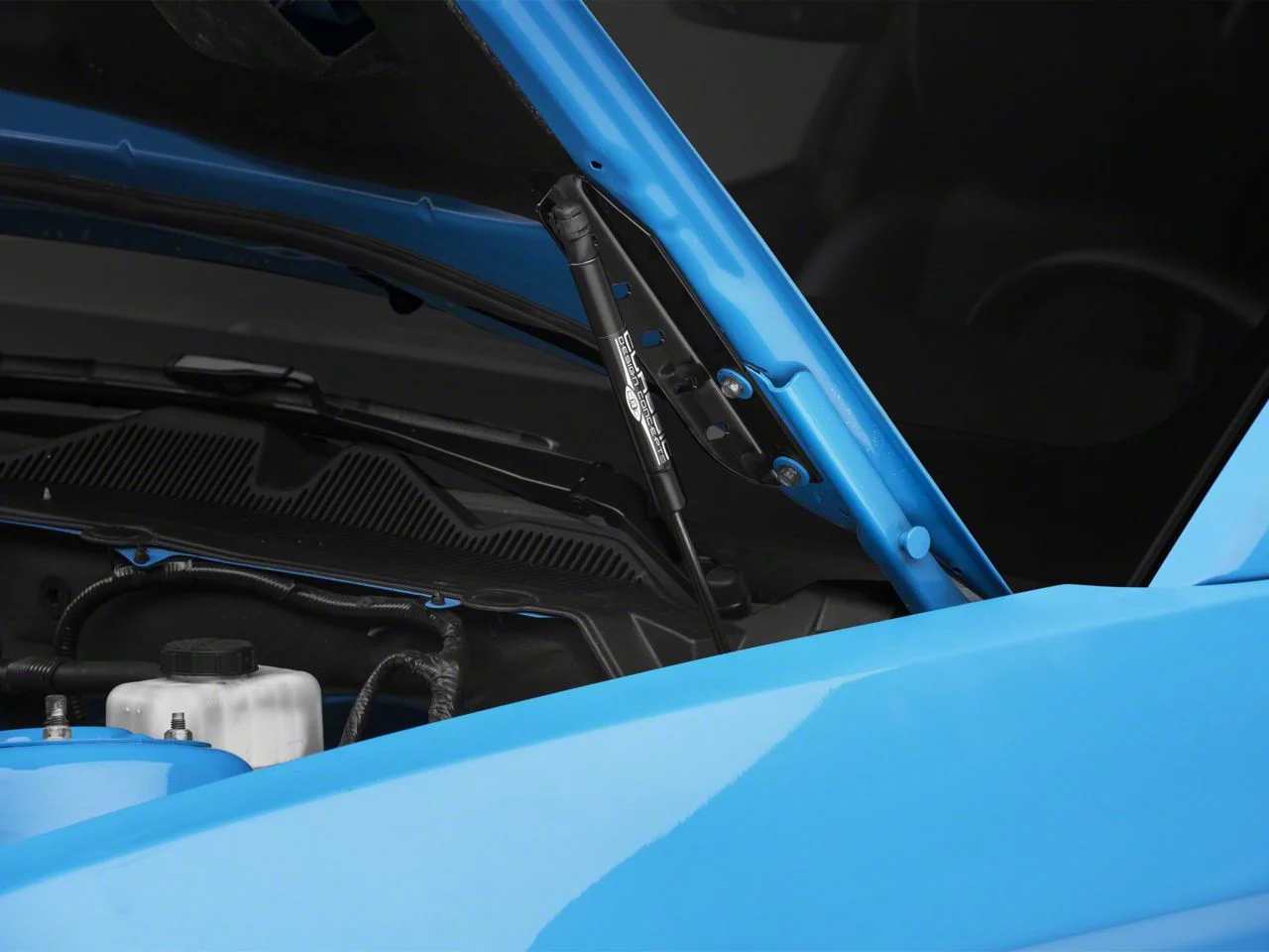 Hood Struts; Black (05-14 Mustang)