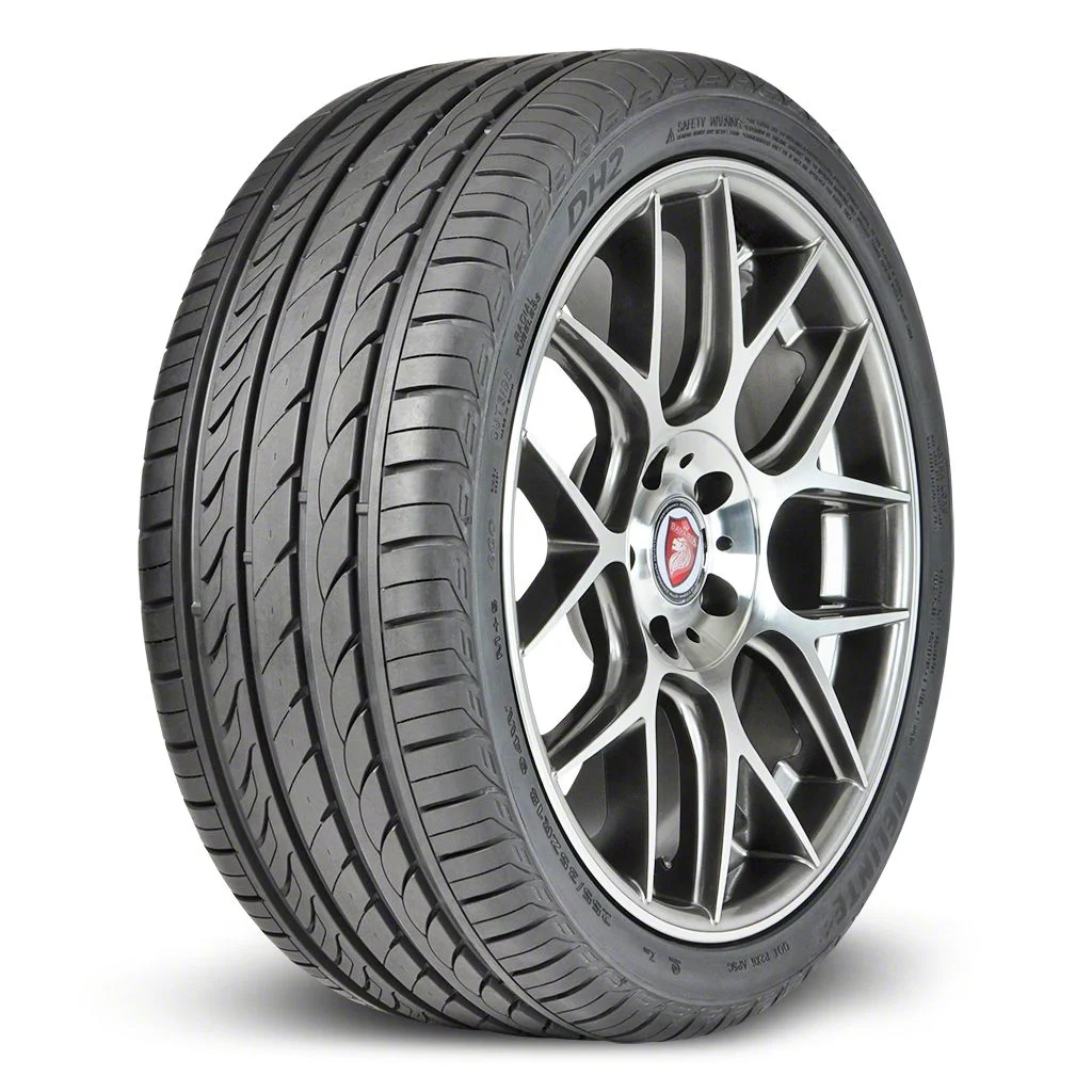 Delinte DH2 All-Season High Performance Tire (255/40R19)