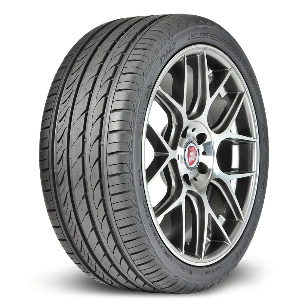 Delinte DH2 All-Season High Performance Tire (275/40R19)