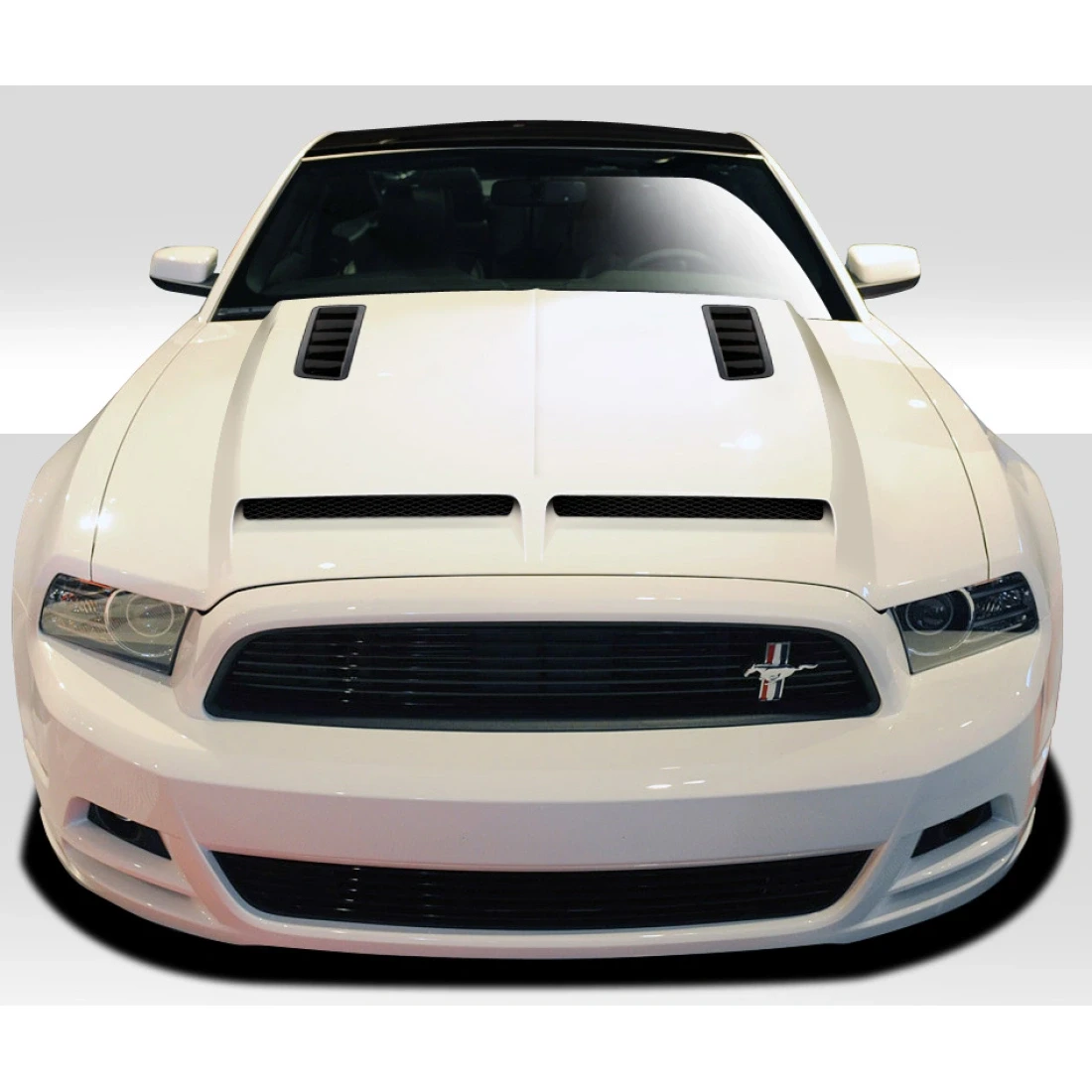 2013-2014 Ford Mustang / 2010-2014 Mustang GT500 GT500 Hood - I Piece - 109241