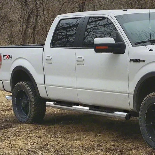 GEM Tubes Octa Series Nerf Side Step Bars; Chrome (09-14 F-150 Regular Cab)