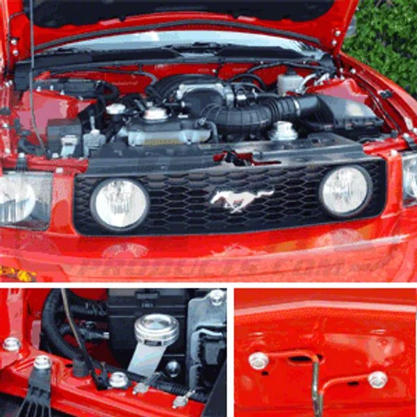 Billet Underhood Bolt Cover Kit; Satin (05-09 Mustang)